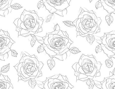 Elegant rose line art pattern