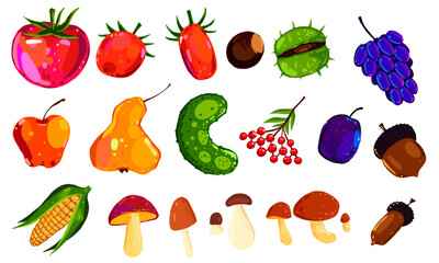 Vector illustration of mixed fruits and vegetables collection. Hand drawn healthy food and mushrooms isolated on white background.