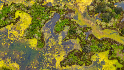Aerial View of Wetlands and Farmland with Road and Bridge, Spain