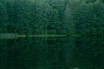Forest reflected in calm green lake creating mirror symmetry in peaceful nature scene