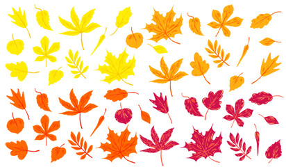 Vector illustration of colorful autumn leaves set. Hand drawn foliage isolated on white background.