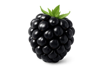 Ripe fresh blackberry with green leaves on transparent background
