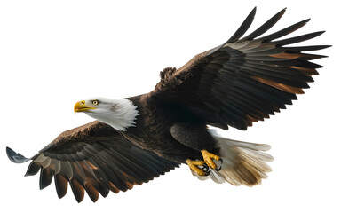 Obraz premium Flying bald eagle with dark brown body, white head, yellow beak, and talons, wings spread wide, isolated on white background