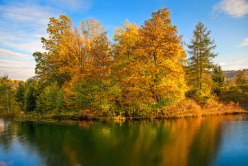autumn in the park