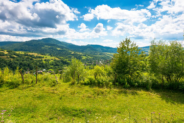 Fototapeta premium rural fields on rolling hills of ukraine in summer. wide angle countryside landscape of transcarpathia with stick fences in dappled light. uzhok village down in the valley. slow living in carpathians