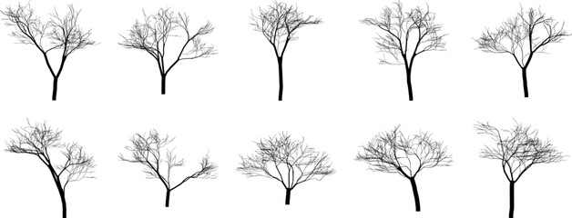 Hand made Collection of bare tree silhouettes simple vector illustrations By illustrator for design elements