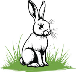 Rabbit sitting on grass, hand-drawn single line, bold outline, white background 2