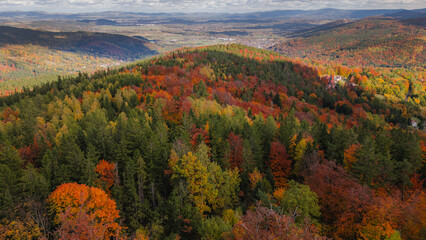 Aerial View of Colorful Autumn Forest in Mountain Landscape