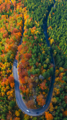 Aerial View of Curvy Road Through Vibrant Autumn Forest