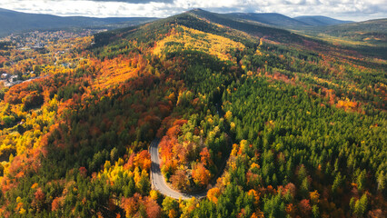 Aerial View of Curved Road Through Colorful Autumn Forest