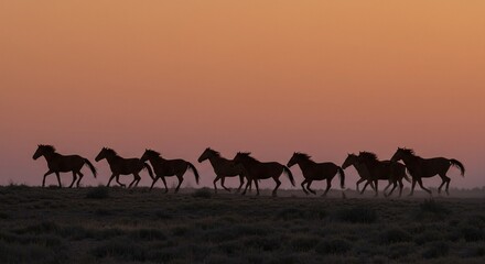 Majestic Herd of Equine Animals Galloping Across the Horizon at Dawn or Dusk