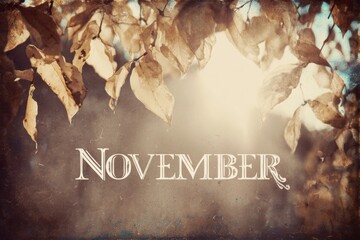 The rustic charm of november's autumn sunlight. Visual balance. Enhanced november poster with vibrant leaves and sunlit grunge. Bright colors. Modern style.