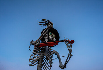  Halloween Skeleton Playing Violin Outdoors