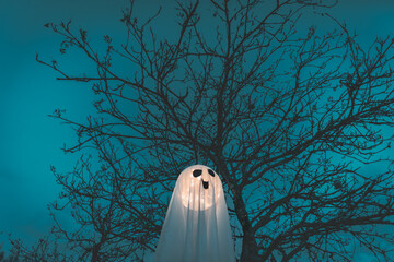 Halloween Ghost Decoration Hanging on Tree
