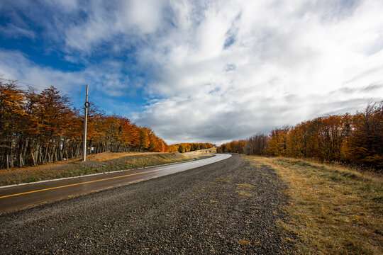 Scenic Autumn Road Trip Through Patagonian Forest Under Dramatic Sky
