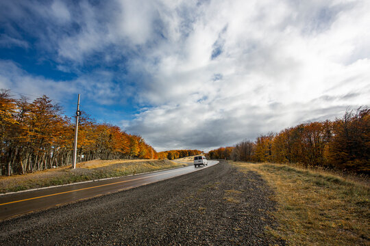 Scenic Autumn Road Trip Through Patagonian Forest Under Dramatic Sky