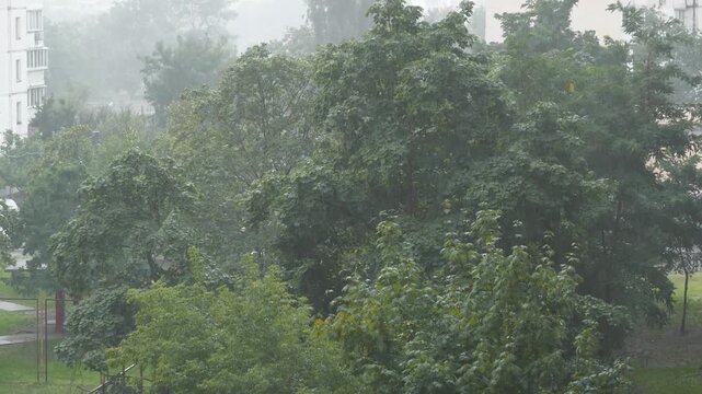 Rainy and windy weather. Video with sound and rain noise. Green trees are swaying in the wind. Rain in the city