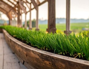 Lush Greenery Thriving in a Wooden Planter Under a Structure.