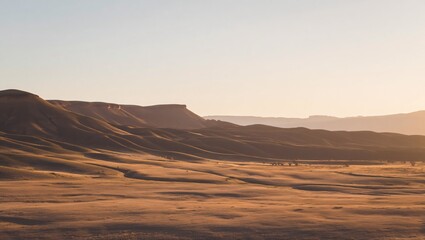 Naklejka premium Golden hour light bathes rolling desert hills under a vast clear sky