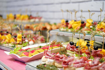 Colorful assortment of gourmet appetizers displayed elegantly on platters, featuring fresh fruits, meats, and garnishes, perfect for catering events and celebrations