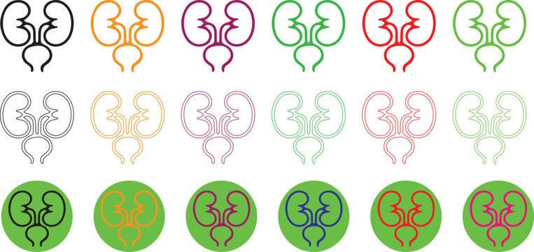 Urinary icon isolated. human Lung and kidney icon illustration. Urinary system part symbol