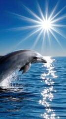 Fototapeta premium Bottlenose dolphin joyfully breaching the surface in bright sunlight