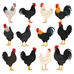 Roosters and hens of various colors