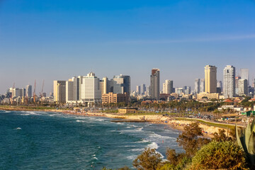 Naklejka premium Tel Aviv Coastal Skyline