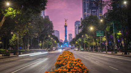 Avenida Paseo de la Reforma in Mexico City, adorned with bright orange marigold (cempazuchil) flowers in the medians, leading the eye to the iconic Angel of Independence monument. Day of dead.