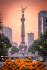 Avenida Paseo de la Reforma in Mexico City, adorned with bright orange marigold (cempazuchil) flowers in the medians, leading the eye to the iconic Angel of Independence monument. Day of dead.