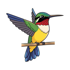 Obraz premium Colorful Hummingbird Cartoon Illustration on Branch