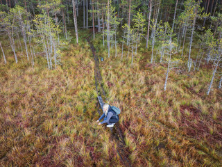 Aerial drone view of a woman foraging for wild cranberries on a hiking trail in Seli bog, Estonia.