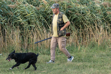 A hunter with his dogs, a spaniel and a german pointer, walk along the reeds in search of a...