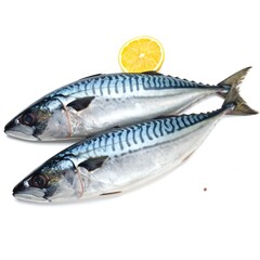 Naklejka premium Two whole mackerel fish on white background