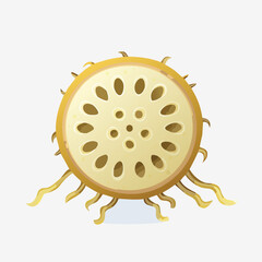 Cartoon Illustration of Lotus Root Slice with Holes