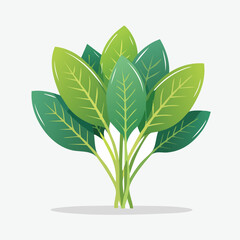 Vector Illustration of Lush Green Leafy Plant