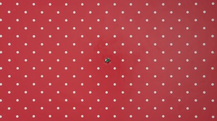 Christmas wrapping paper tears from the center on a green background. Stop motion. Layout for discounts, text, etc - Powered by Adobe