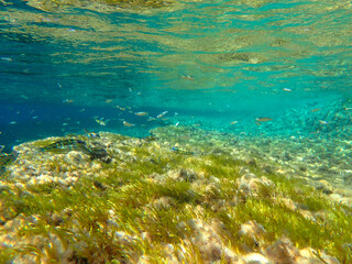 Sunlight shining  the surface and under the blue ocean, sea wave, with clean waters in summer time, Ocean blue underwater with sunrays, underwater blue ocean, sandy sea bottom underwater background.