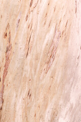 Natural wood texture background with soft tones and subtle patterns for design with copy space