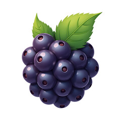 Blackberry Cluster Icon