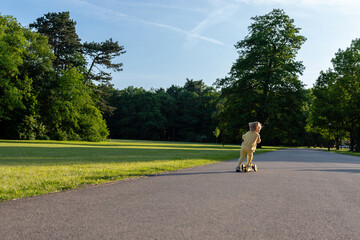 Girl on scooter. Riding child outdoor fun. Sunshine road freedom lifestyle.