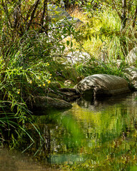 Bull Run Creek, Image 2