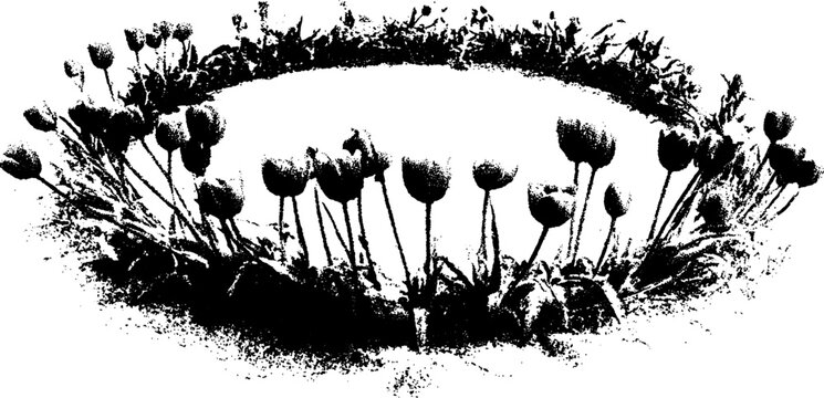 Black and white halftone illustration of floral circle border design