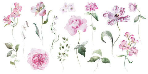 Watercolour floral illustration set. Burgundy flowers, maroon purple individual elements, green leaves branches collection. Rose, peony, tulips, iris. Bouquets, wreaths, wedding invitations, prints. 