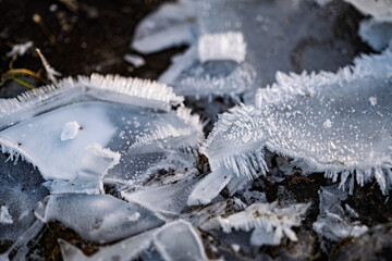 Detailed view of fragile melting ice crystals on frozen soil showing natural winter texture and structure.