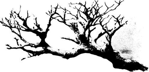 Obraz premium Black and white halftone coral branch illustration for design projects