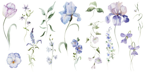 Watercolour floral illustration set. Burgundy flowers, maroon purple individual elements, green leaves branches collection. Rose, peony, tulips, iris. Bouquets, wreaths, wedding invitations, prints. 