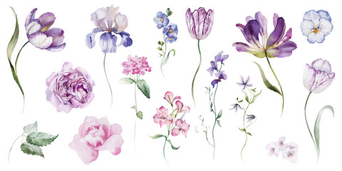 Watercolour floral illustration set. Burgundy flowers, maroon purple individual elements, green leaves branches collection. Rose, peony, tulips, iris. Bouquets, wreaths, wedding invitations, prints. 