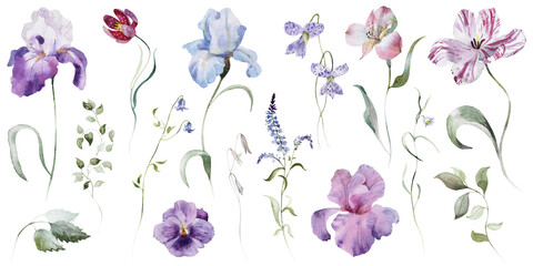 Watercolour floral illustration set. Burgundy flowers, maroon purple individual elements, green leaves branches collection. Rose, peony, tulips, iris. Bouquets, wreaths, wedding invitations, prints. 