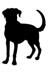 Black Silhouettes of Dog. Isolated on White Background. PNG File.N.07